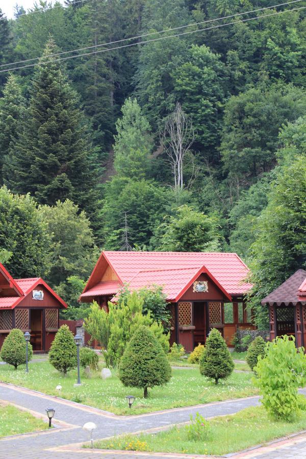 Sokolyne Gnizdo Hotel Korostov Bagian luar foto